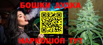дживик Ставрополь