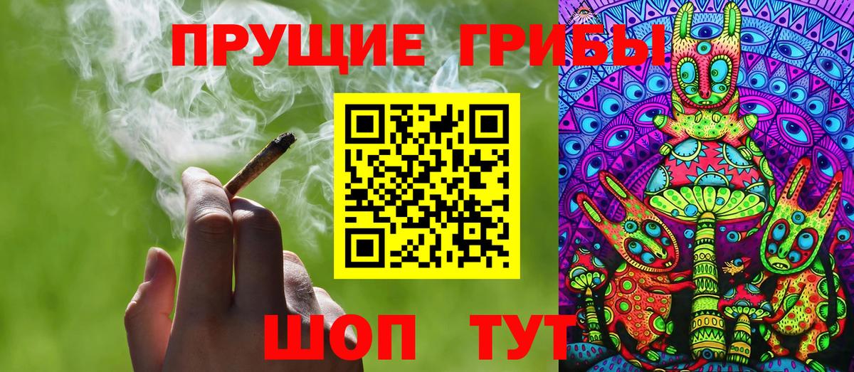 Псилоцибиновые грибы мицелий Белебей