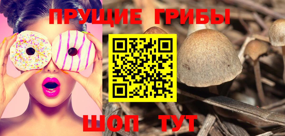 Псилоцибиновые грибы Cubensis  Вход с VPN  как найти   Белебей 